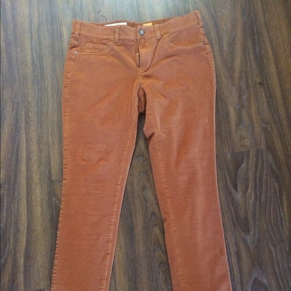 Pilcro and the Letterpress Rusty Corduroy Pants - Picture 1 of 8